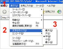 Internet Explorer 6 の場合